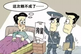 仓山融资清欠服务